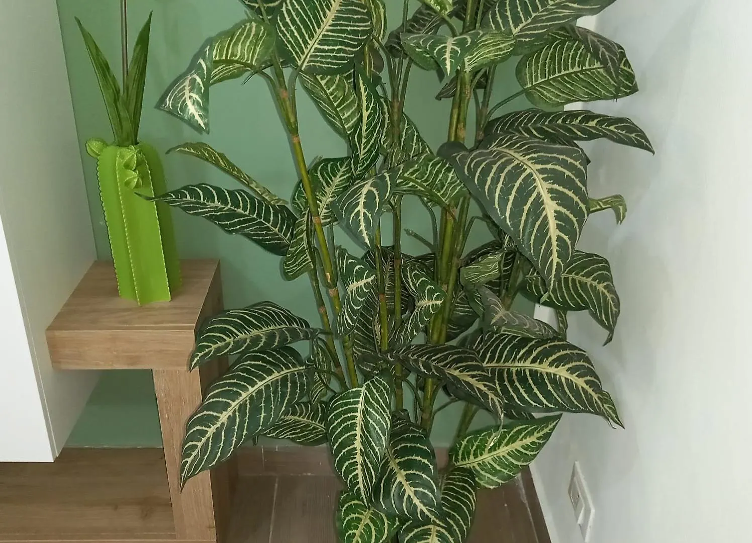 A Casa Di Lori Appartement Palermo Italië