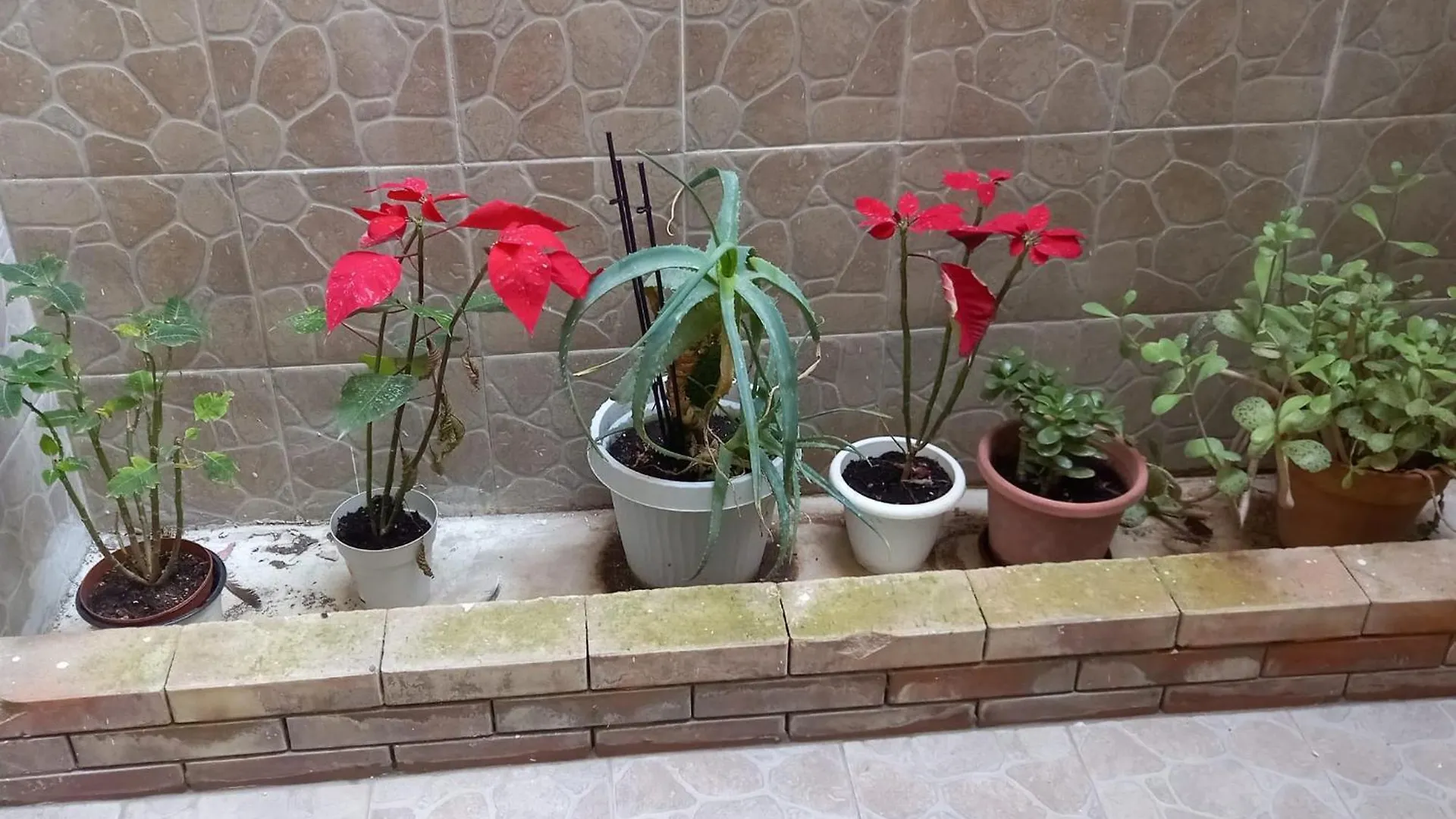 A Casa Di Lori Apartment Palermo 0*,  Italy